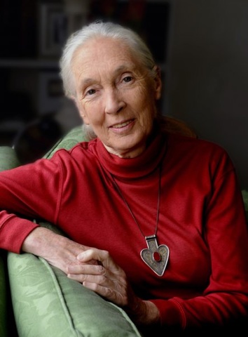 Jane Goodall